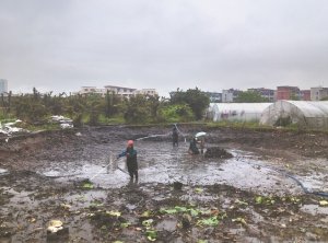 荥阳河道鱼塘清淤